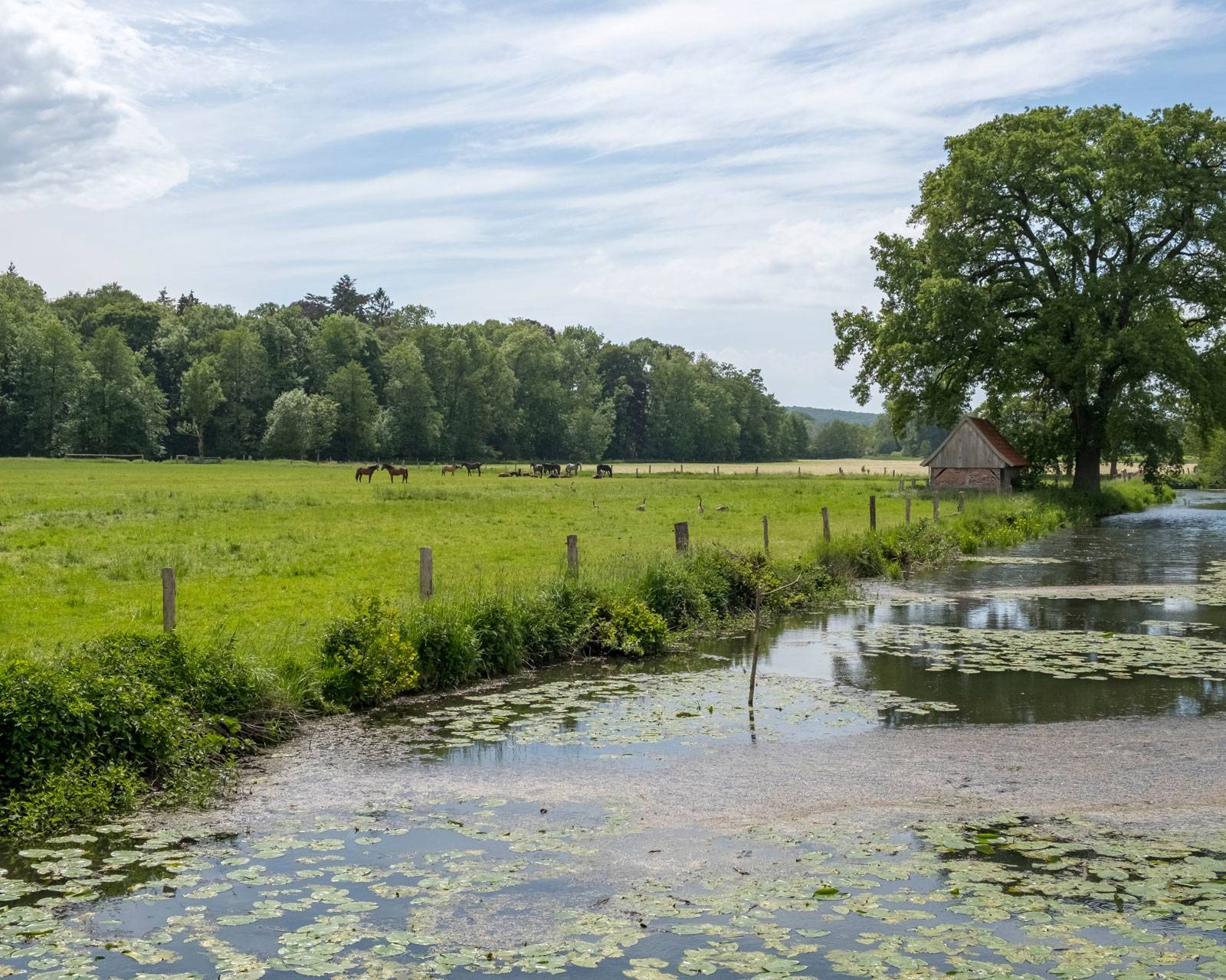 Muenstersche bei Havixbeck